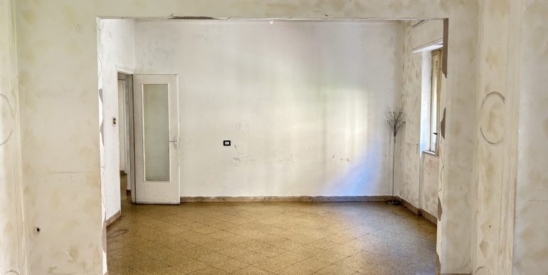 IMG_1555