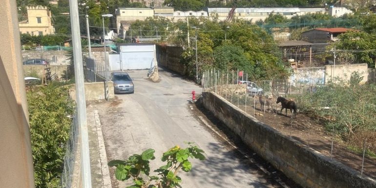 IMG_2025110413013434