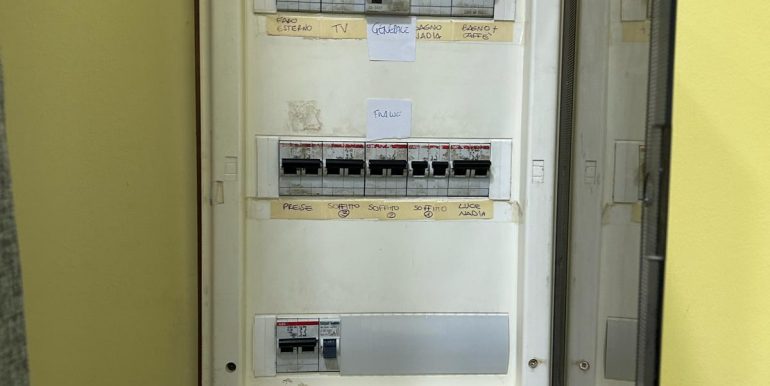 WhatsApp Image 2025-03-12 at 19.15.58 (2) - Copia